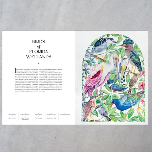 The Illuminated Book of Birds