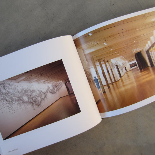 Teresita Fernandez: As Above, So Below