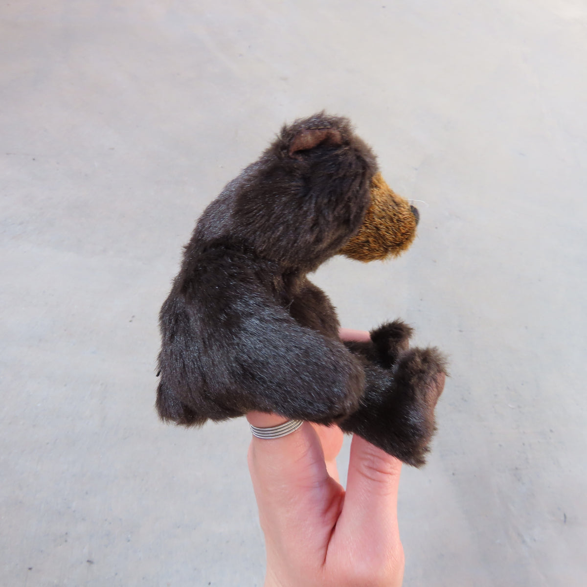 Finger Puppet: Mini Sitting Bear