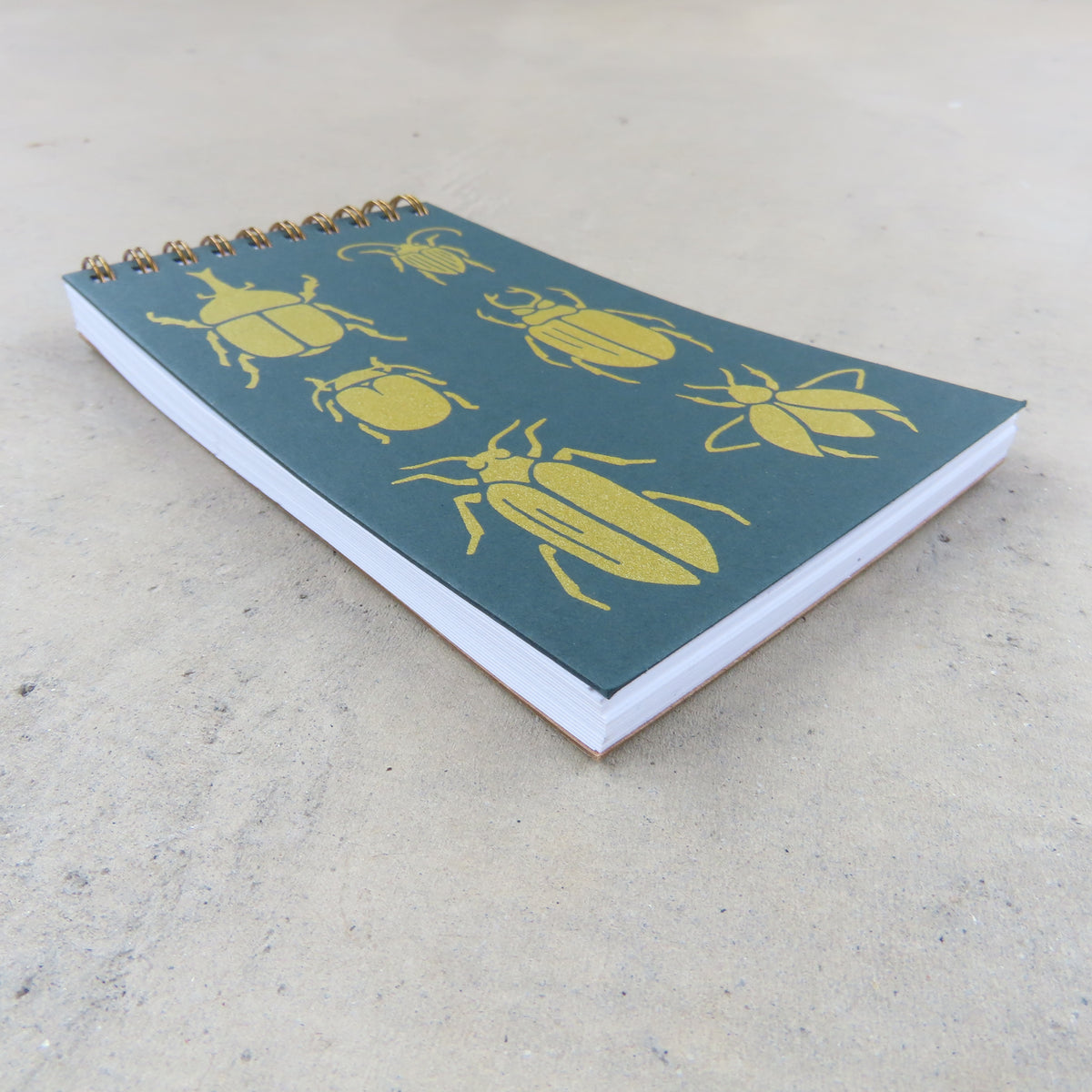 Coil Notepad: Beetle