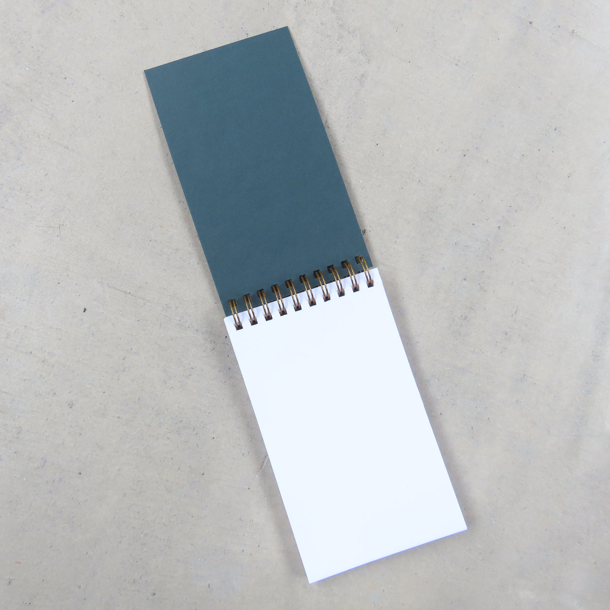 Coil Notepad: Beetle