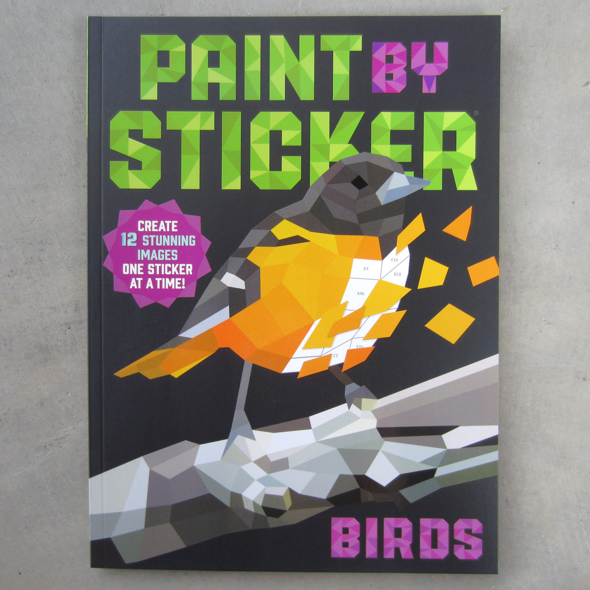 Paint by Sticker: Birds