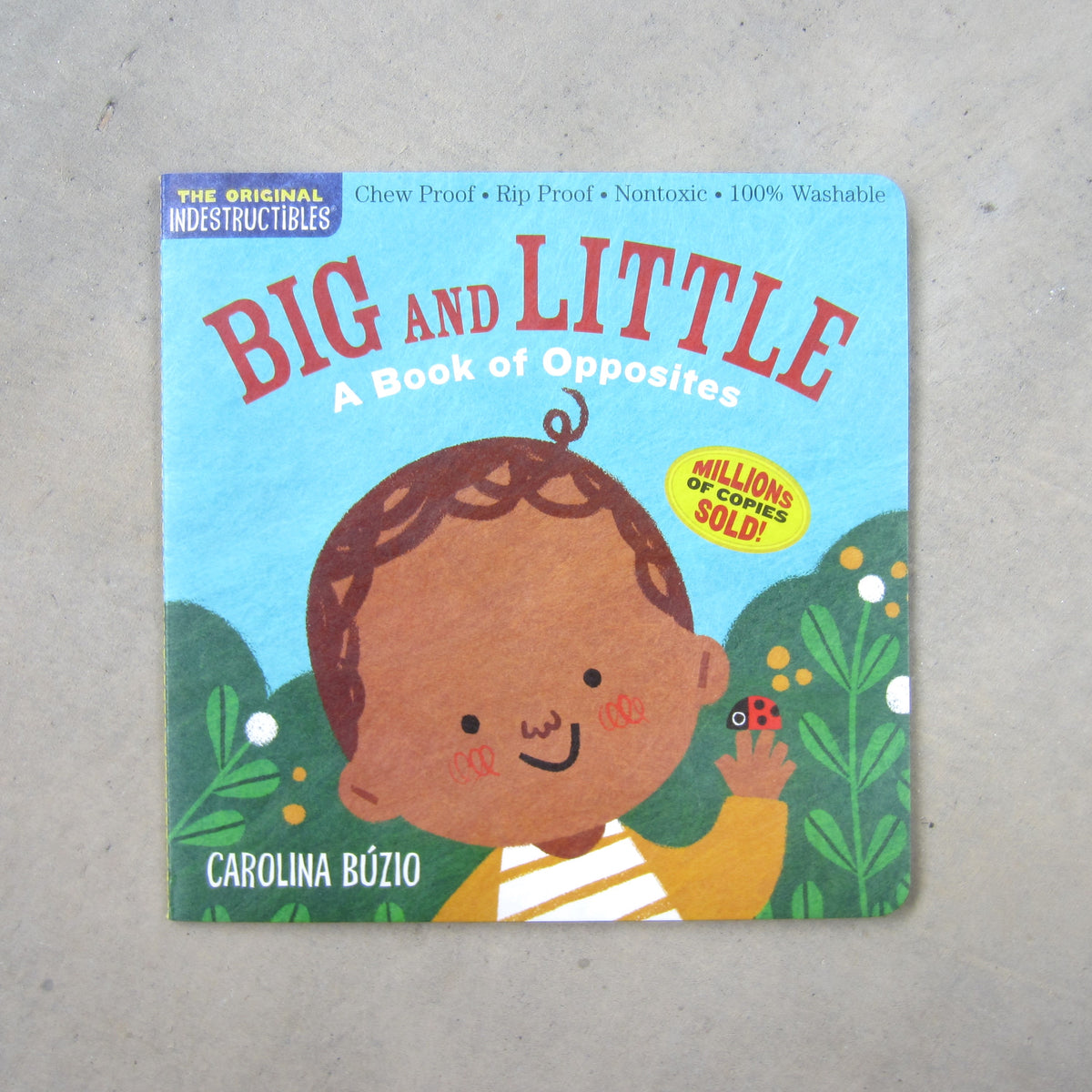 Indestructibles: Big and Little - A Book of Opposites