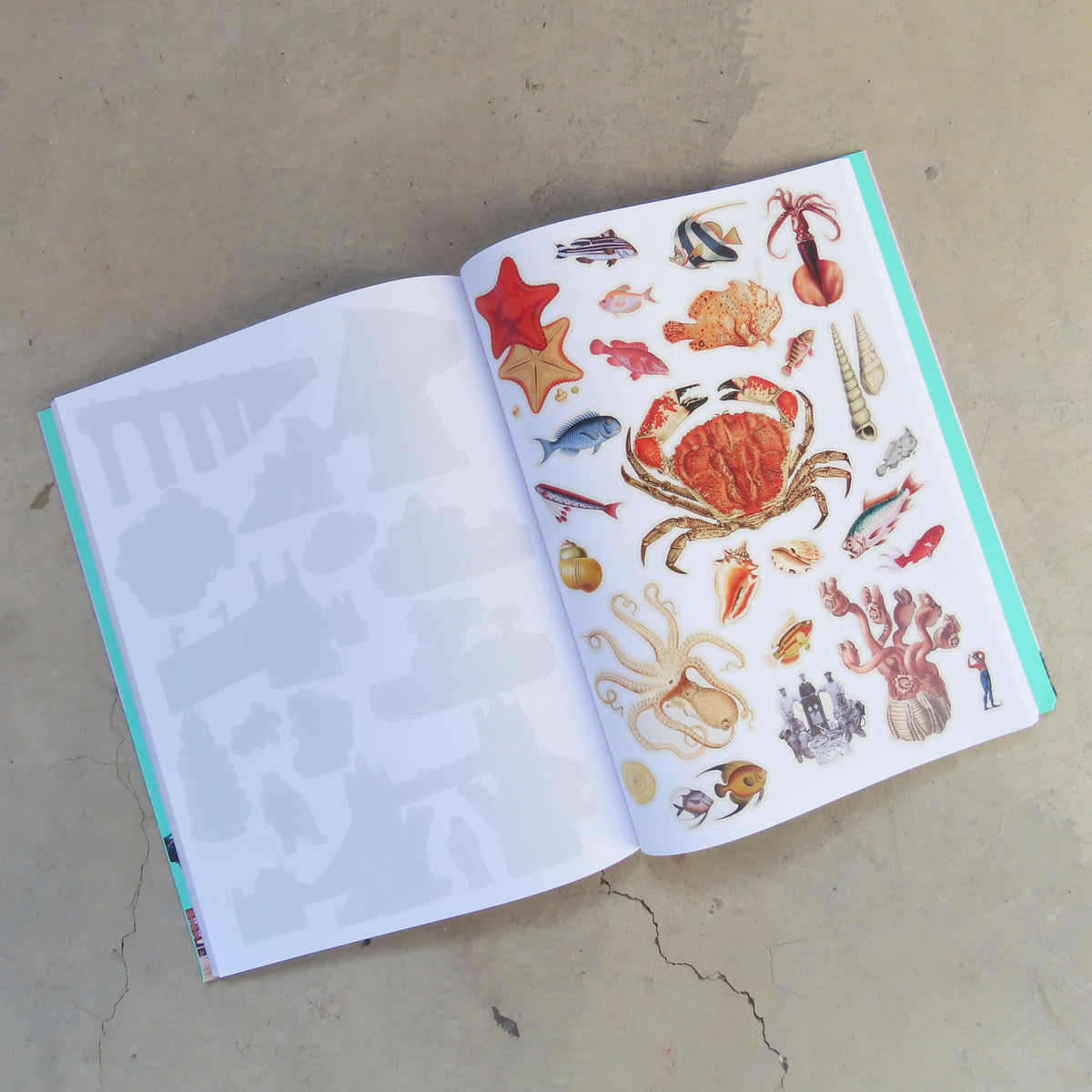 Cut up this Book and Create Your Own Extraordinary Places