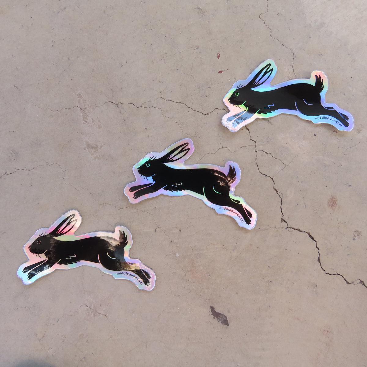 Holographic Bun Sticker