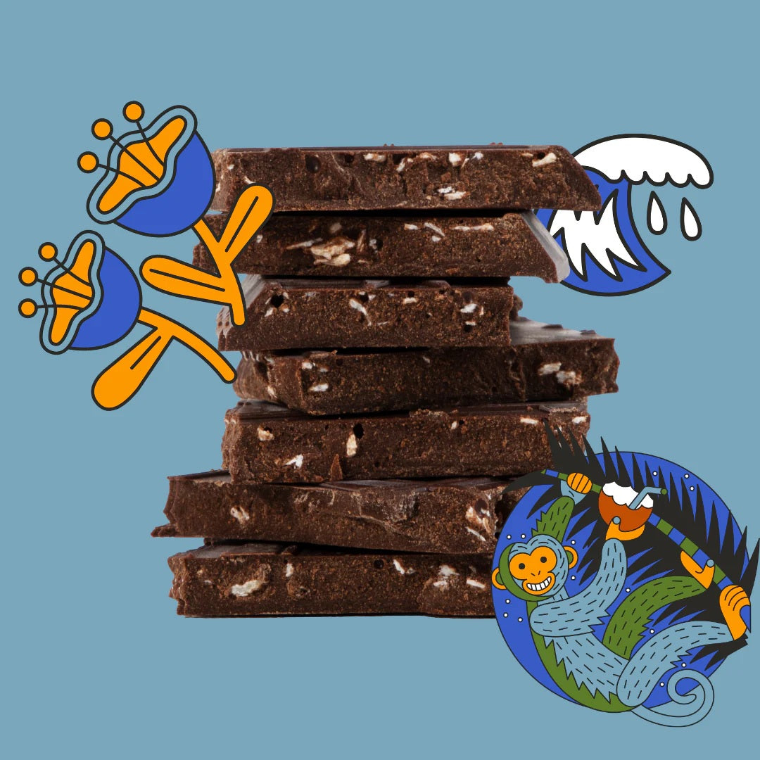Chocolate Truffle Bar: Coconut Island
