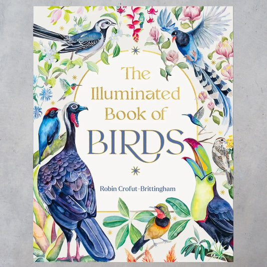 The Illuminated Book of Birds