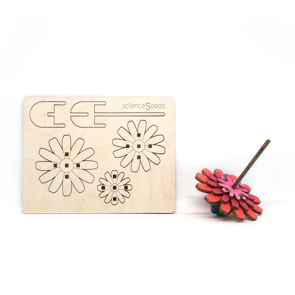 DIY Wooden Spinning Top: Daisy