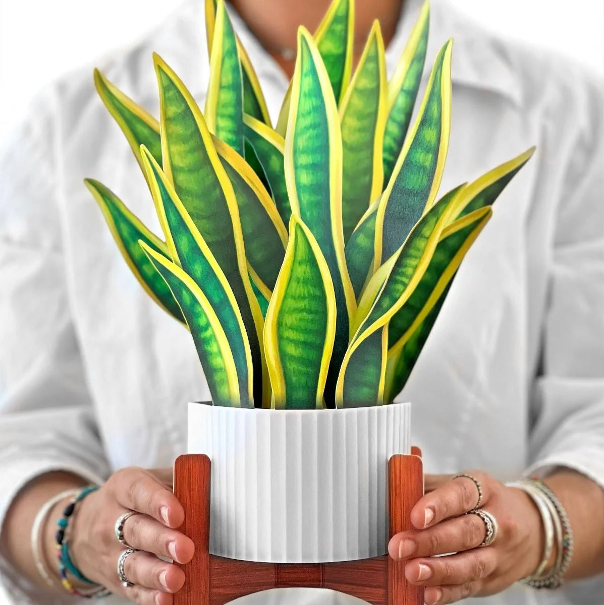 Paper Bouquet: Snake Plant
