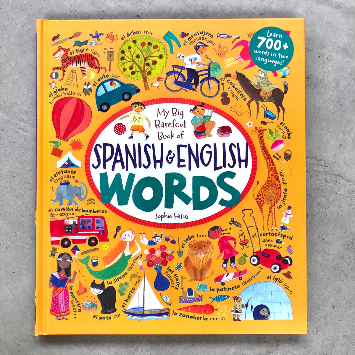Spanish and English Words