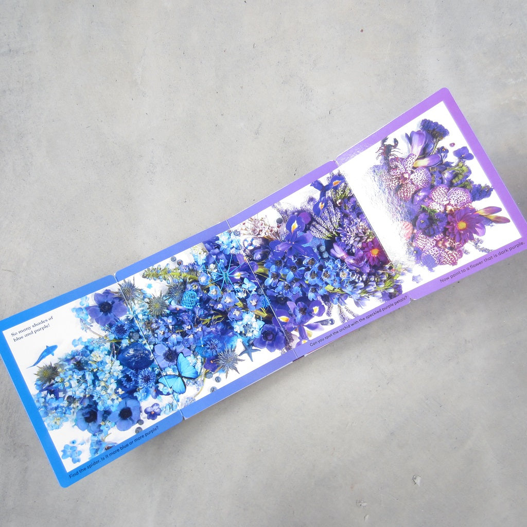 Rainbows in Bloom: Discovering Colors with Flowers